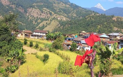 महानगरबासीलाई वडा कार्यालय पुग्नै सास्ती