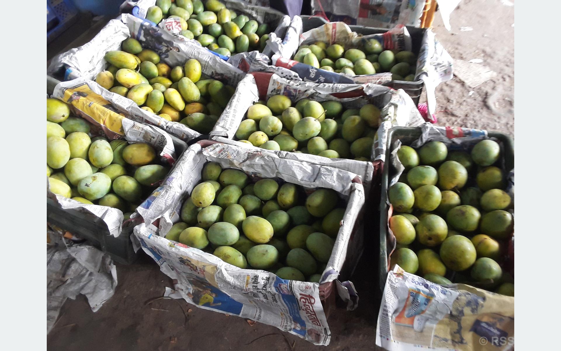 बजारमा नेपाली आँपकै एकछत्र राज
