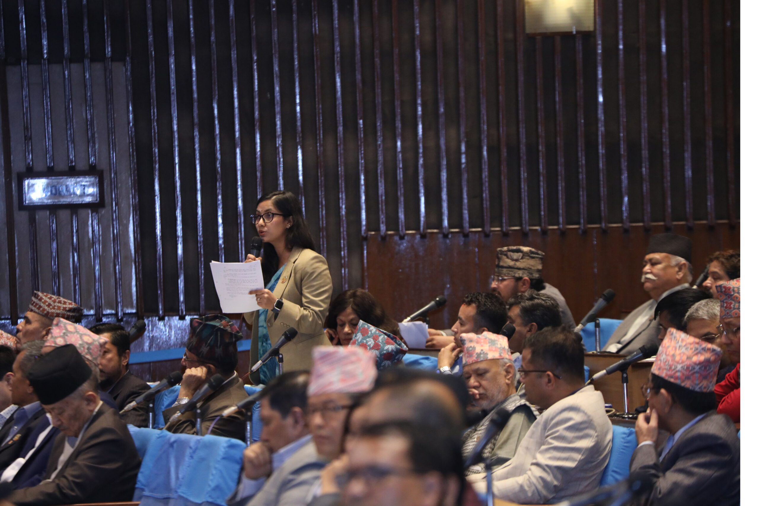 प्रतिनिधिसभा बैठक १५ मिनेटका लागि स्थगित