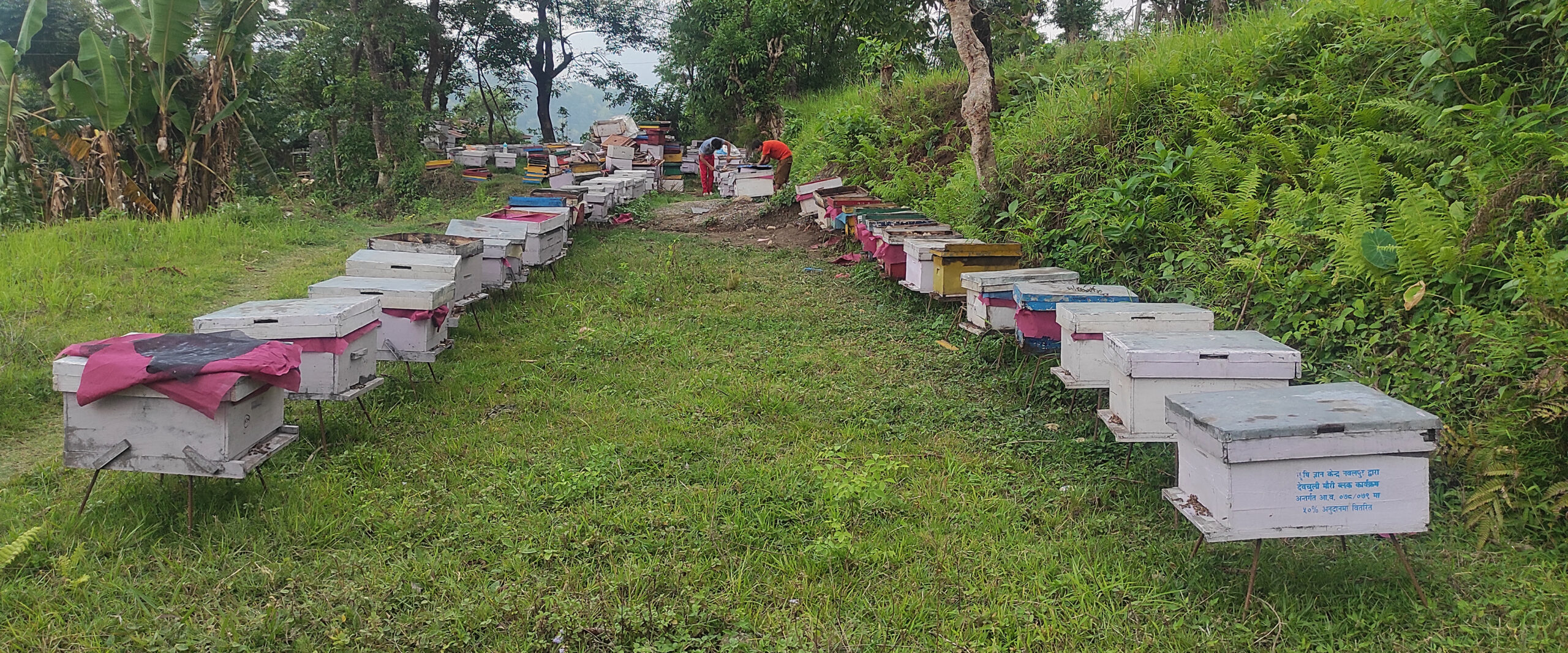 मौरी चरन क्षेत्र बन्दै तनहुँ