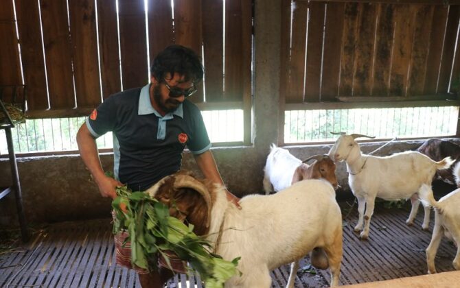व्यावसायिक बाख्रापालनमा कम्प्युटर इन्जिनियर