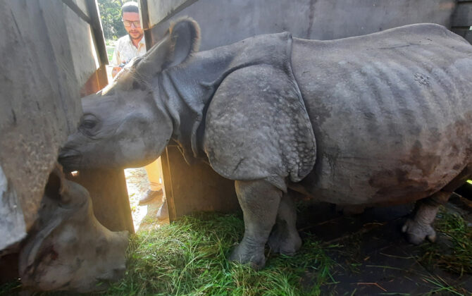 कोशी टप्पु पठाइए पुष्पा र अञ्जली