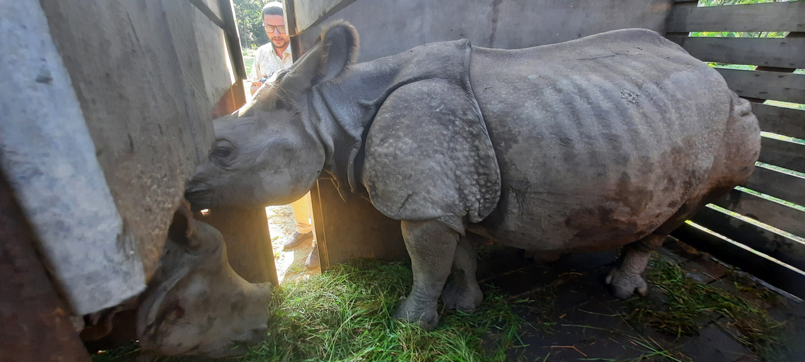 कोशी टप्पु पठाइए पुष्पा र अञ्जली