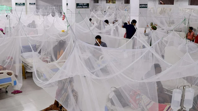 Bangladesh’s dengue death toll exceeds 900
