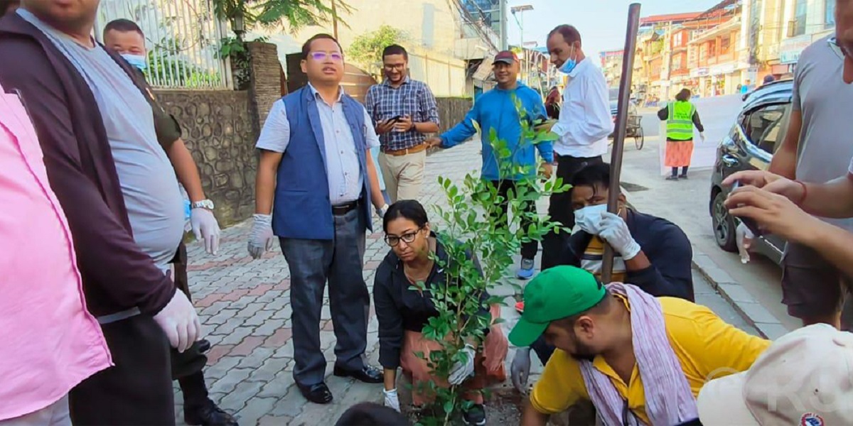 भरतपुरमा हरियाली प्रवर्द्धनका लागि पाँच करोड