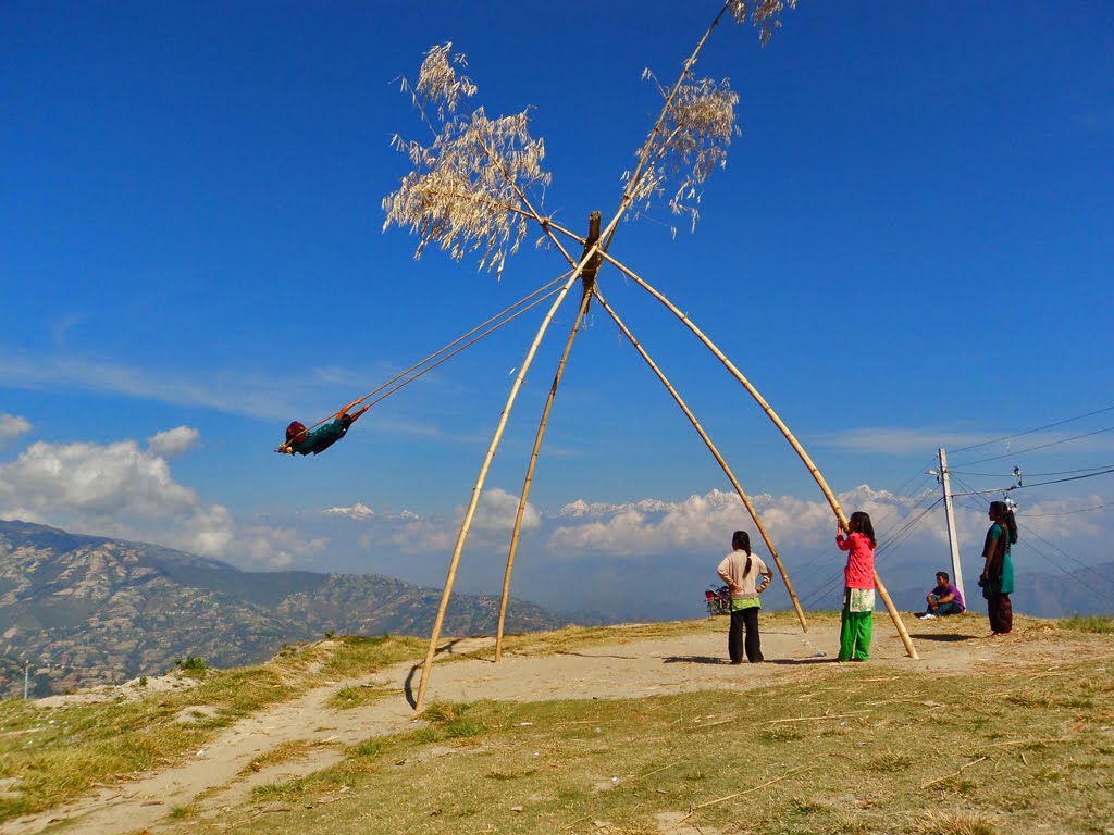 लिङ्गे पिङ हराउँदै गएकामा चिन्ता
