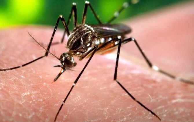 बङ्गलादेशमा डेङ्गुबाट एक हजार चार सयको मृत्यु, तीन लाख सङ्क्रमित